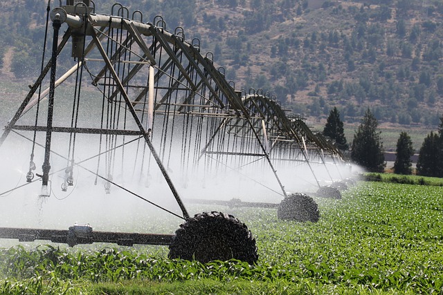 Drip irrigation system in agriculture field for efficient water distribution